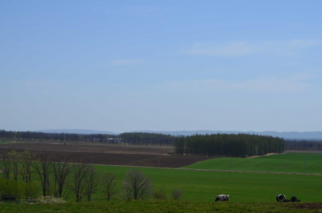 牧場からの東の風景