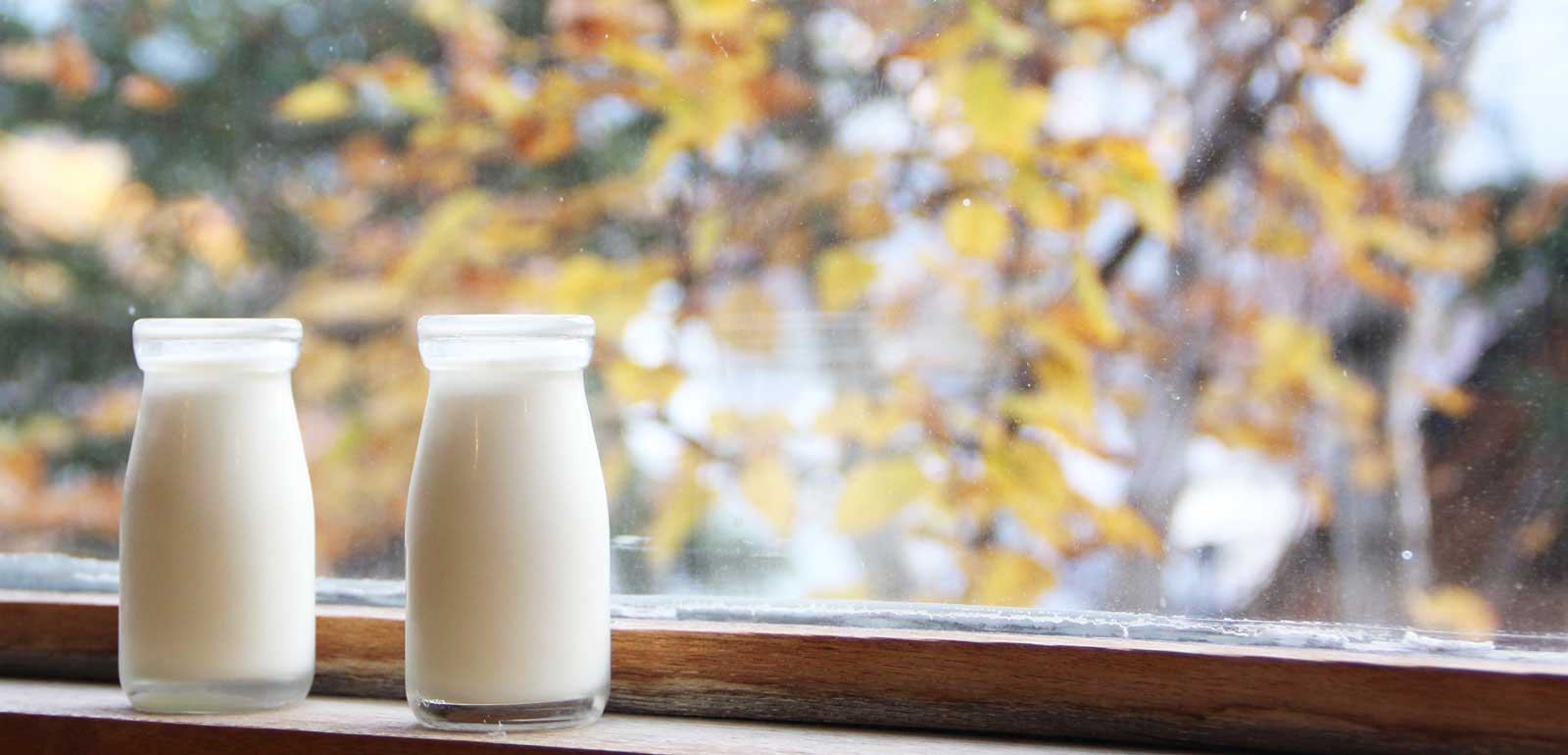 朝の牛乳配達「搾りたての放牧牛乳を求めて」-糠平温泉 中村屋-